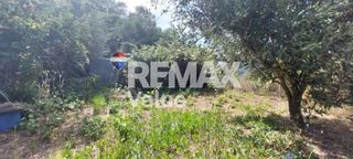 Μονοκατοικία 60 τ.μ. για πώληση, Ν. Λευκάδας, Λευκάδα-thumb-3