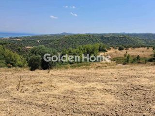 Αγροτεμάχια 4.000 τ.μ. για πώληση