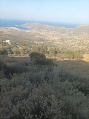 Οικόπεδο 4.123 τ.μ. για πώληση