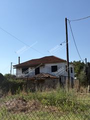 Μονοκατοικία 100 τ.μ. για πώληση, Μεσσηνία, Μελιγαλά-thumb-3
