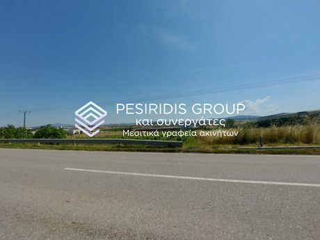 Αγροτεμάχια 5.500 τ.μ. προς πώληση