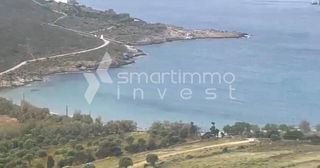 Οικόπεδο 4.500 τ.μ. για πώληση