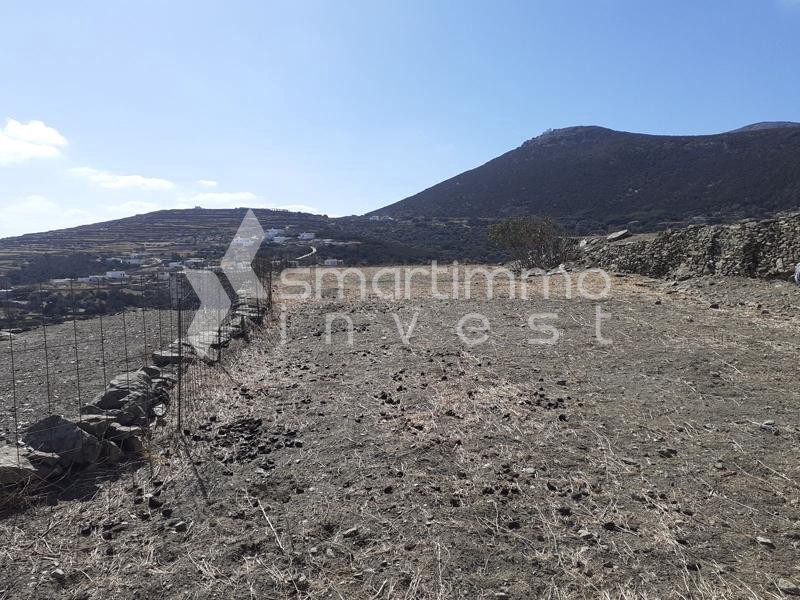 Αγροτεμάχια 4.901 τ.μ. προς πώληση, Αρτεμώνας