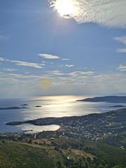 Αγροτεμάχια 13.400 τ.μ. για πώληση