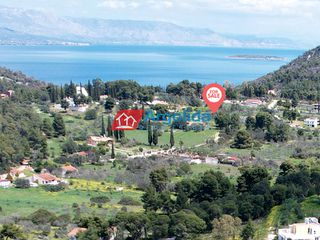 Αγροτεμάχια 4.012 τ.μ. για πώληση