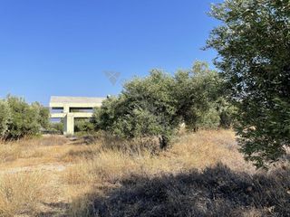 Μονοκατοικία 420 τ.μ. για πώληση