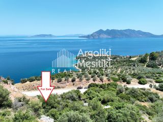 Αγροτεμάχια 5.630 τ.μ. για πώληση