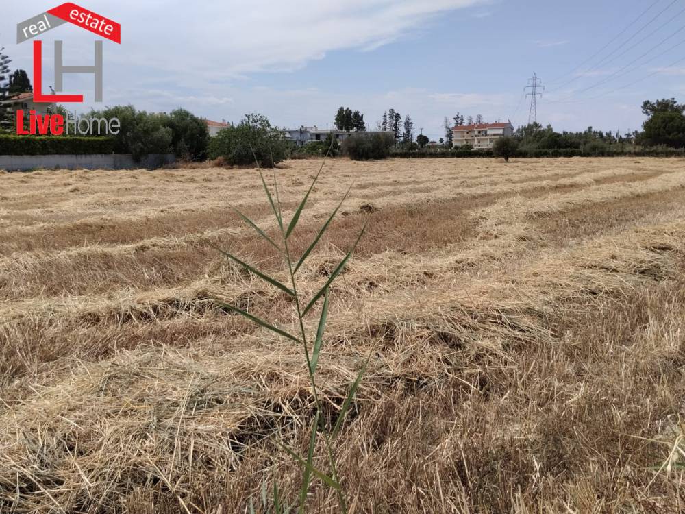 Οικόπεδο 1.175 τ.μ. πρός πώληση, Κορινθία, Βέλο