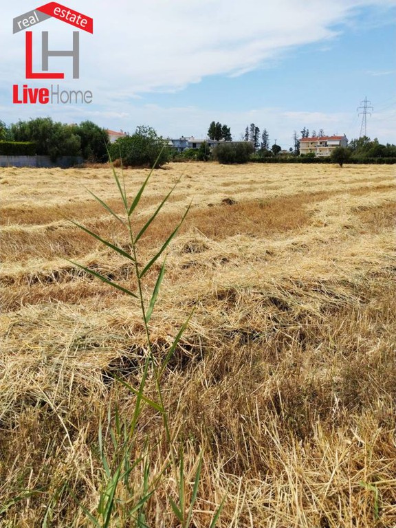 Οικόπεδο 1.175 τ.μ. πρός πώληση, Κορινθία, Βέλο