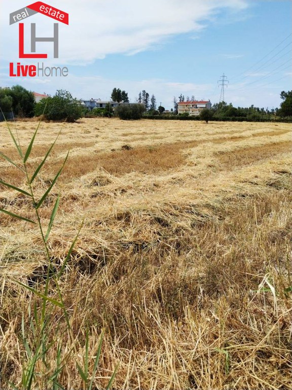 Οικόπεδο 1.175 τ.μ. πρός πώληση, Κορινθία, Βέλο