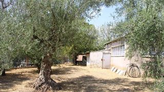 Μονοκατοικία 95 τ.μ. προς πώληση, Άνθεια Θουρίας-thumb-18