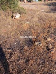 Οικόπεδο 256 τ.μ. για πώληση, Λακωνία, Ασωπός-thumb-2