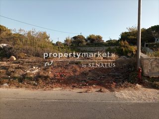 Αγροτεμάχια 530 τ.μ. για ενοικίαση