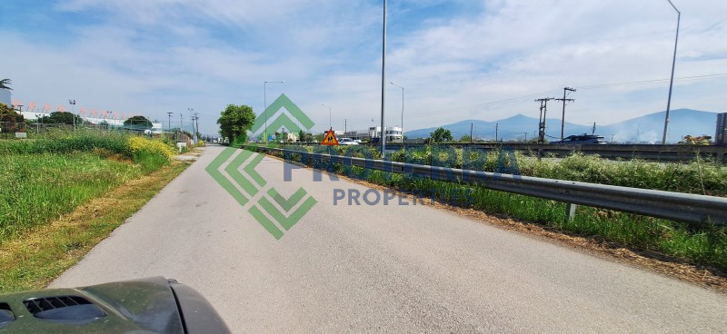 Αγροτεμάχια 5.500 τ.μ. προς πώληση, Νέα Ραιδεστός