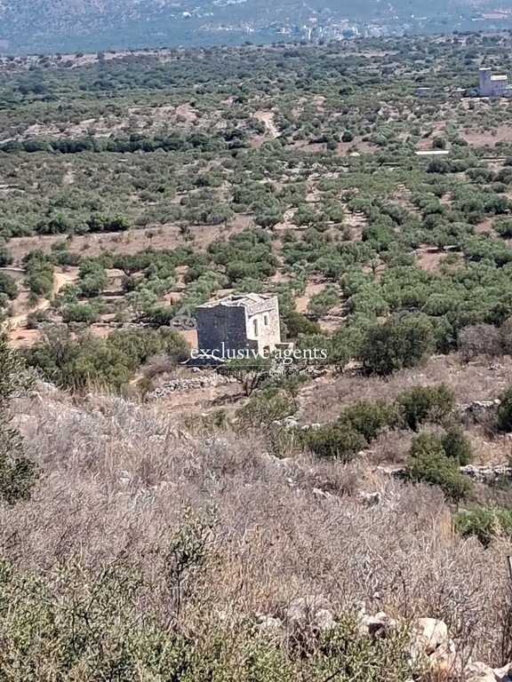 Μονοκατοικία 90 τ.μ. προς πώληση, Οίτυλος