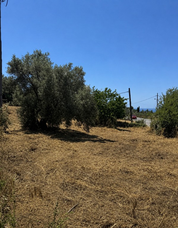 Οικόπεδο 1.211 τ.μ. για πώληση, Ν. Λευκάδας, Λευκάδα