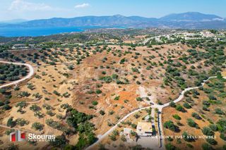 Αγροτεμάχια 10.500 τ.μ. για πώληση, Αργολίδα, Κρανίδι-thumb-8