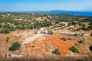 Αγροτεμάχια 10.500 τ.μ. για πώληση, Αργολίδα, Κρανίδι-thumb-21