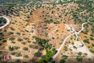 Αγροτεμάχια 10.500 τ.μ. για πώληση, Αργολίδα, Κρανίδι-thumb-10