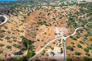 Αγροτεμάχια 10.500 τ.μ. για πώληση, Αργολίδα, Κρανίδι-thumb-11