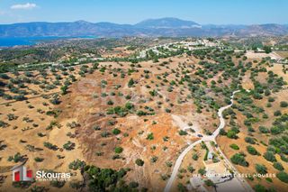 Αγροτεμάχια 10.500 τ.μ. για πώληση, Αργολίδα, Κρανίδι-thumb-24