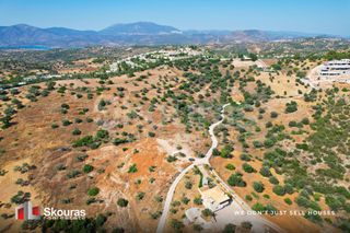 Αγροτεμάχια 10.500 τ.μ. για πώληση, Αργολίδα, Κρανίδι-thumb-9