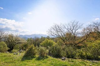 Αγροτεμάχια 22.711 τ.μ. για πώληση