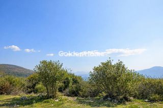 Αγροτεμάχια 5.198 τ.μ. για πώληση