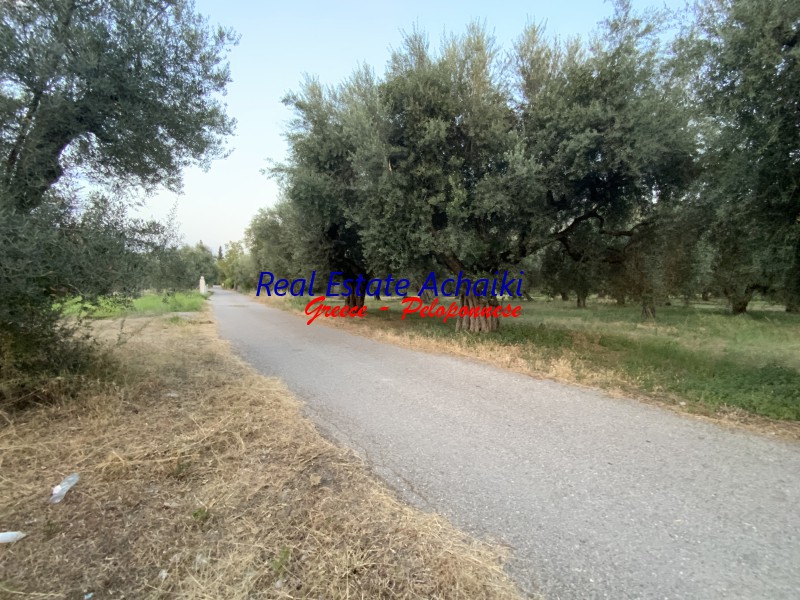 Οικόπεδο 1.980 τ.μ. για πώληση, Αχαΐα, Διακοπτό