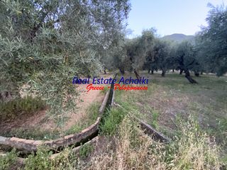 Οικόπεδο 1.980 τ.μ. για πώληση, Αχαΐα, Διακοπτό-thumb-6