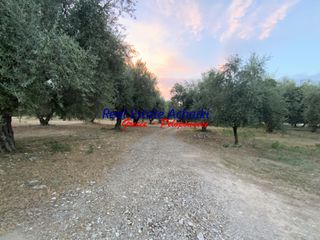 Οικόπεδο 1.980 τ.μ. για πώληση, Αχαΐα, Διακοπτό-thumb-17