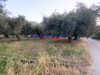 Οικόπεδο 1.980 τ.μ. για πώληση, Αχαΐα, Διακοπτό-thumb-9