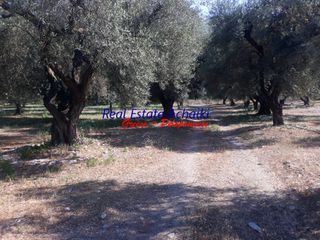 Οικόπεδο 1.980 τ.μ. για πώληση, Αχαΐα, Διακοπτό-thumb-2