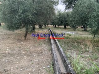 Οικόπεδο 1.980 τ.μ. για πώληση, Αχαΐα, Διακοπτό-thumb-13
