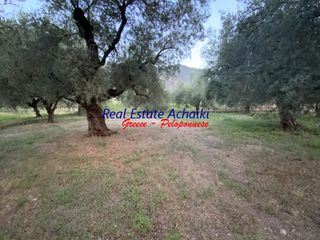 Οικόπεδο 1.980 τ.μ. για πώληση, Αχαΐα, Διακοπτό-thumb-15