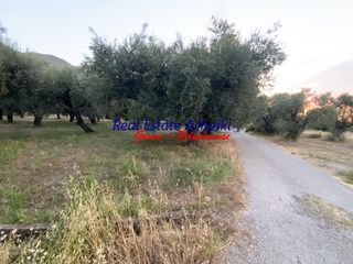 Οικόπεδο 1.980 τ.μ. για πώληση, Αχαΐα, Διακοπτό-thumb-8
