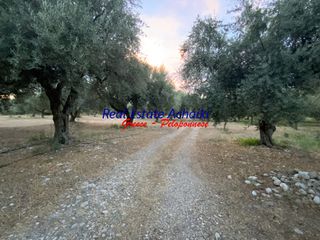 Οικόπεδο 1.980 τ.μ. για πώληση, Αχαΐα, Διακοπτό-thumb-19
