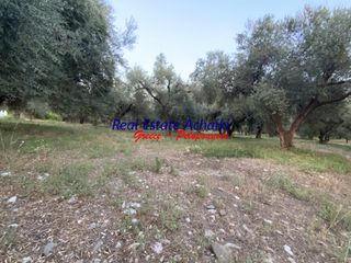 Οικόπεδο 1.980 τ.μ. για πώληση, Αχαΐα, Διακοπτό-thumb-3