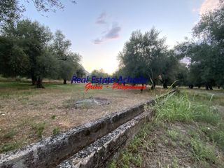 Οικόπεδο 1.980 τ.μ. για πώληση, Αχαΐα, Διακοπτό-thumb-12
