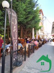 Κατάστημα 180 τ.μ. για πώληση, Πέλλα, Αριδαία-thumb-13