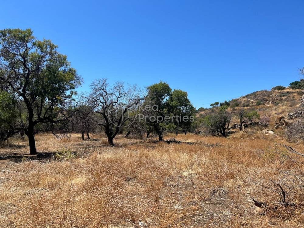Αγροτεμάχια 4.110 τ.μ. πρός πώληση, Κυκλάδες, Κέα