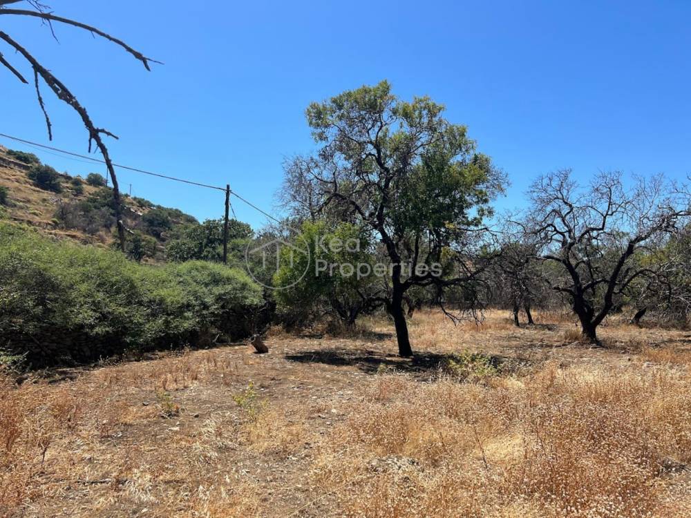 Αγροτεμάχια 4.110 τ.μ. πρός πώληση, Κυκλάδες, Κέα