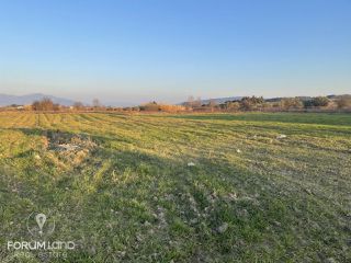 Αγροτεμάχια 9.000 τ.μ. για πώληση