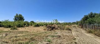 Αγροτεμάχια 16.000 τ.μ. για πώληση