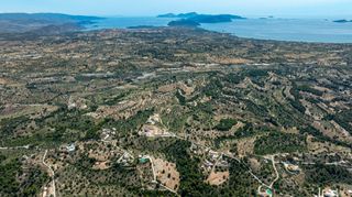 Αγροτεμάχια 25.800 τ.μ. για πώληση, Αργολίδα, Κρανίδι-thumb-19