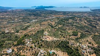 Αγροτεμάχια 25.800 τ.μ. για πώληση, Αργολίδα, Κρανίδι-thumb-11