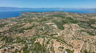 Αγροτεμάχια 25.800 τ.μ. για πώληση, Αργολίδα, Κρανίδι-thumb-14