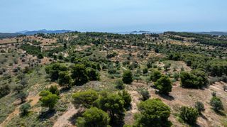 Αγροτεμάχια 25.800 τ.μ. για πώληση, Αργολίδα, Κρανίδι-thumb-24