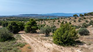 Αγροτεμάχια 25.800 τ.μ. για πώληση, Αργολίδα, Κρανίδι-thumb-20