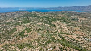 Αγροτεμάχια 25.800 τ.μ. για πώληση, Αργολίδα, Κρανίδι-thumb-15